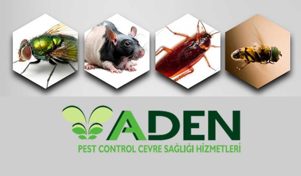 Aden Pest Control