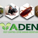 Aden Pest Control